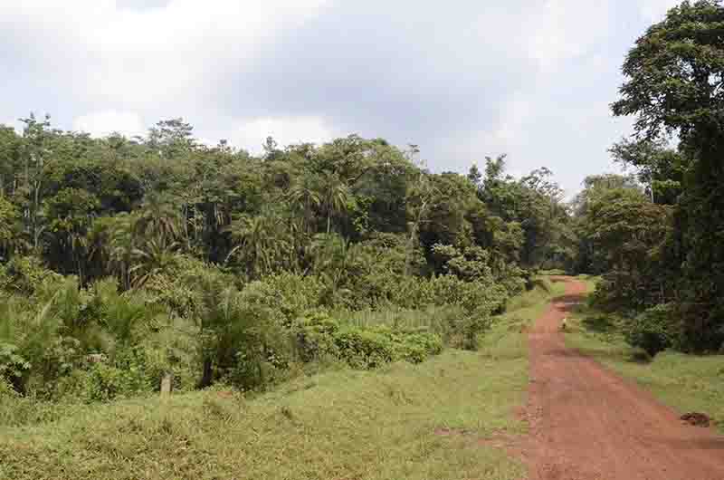 05 - Uganda - carretera de tierra